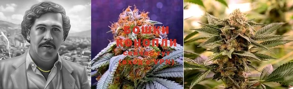 ГАЛЛЮЦИНОГЕННЫЕ ГРИБЫ Куйбышев